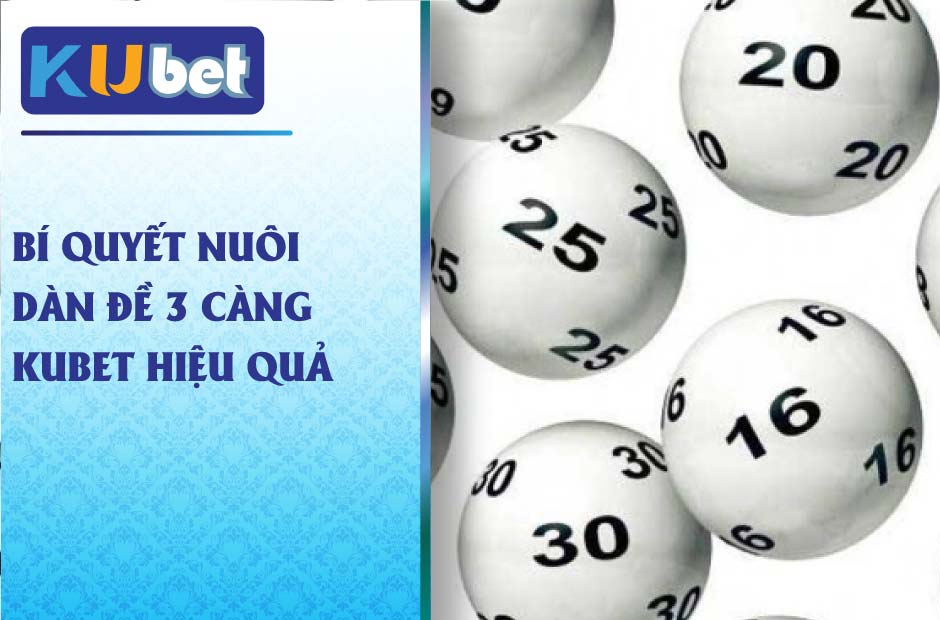 Bí quyết chơi hiệu quả nuôi dàn đề 3 càng kubet