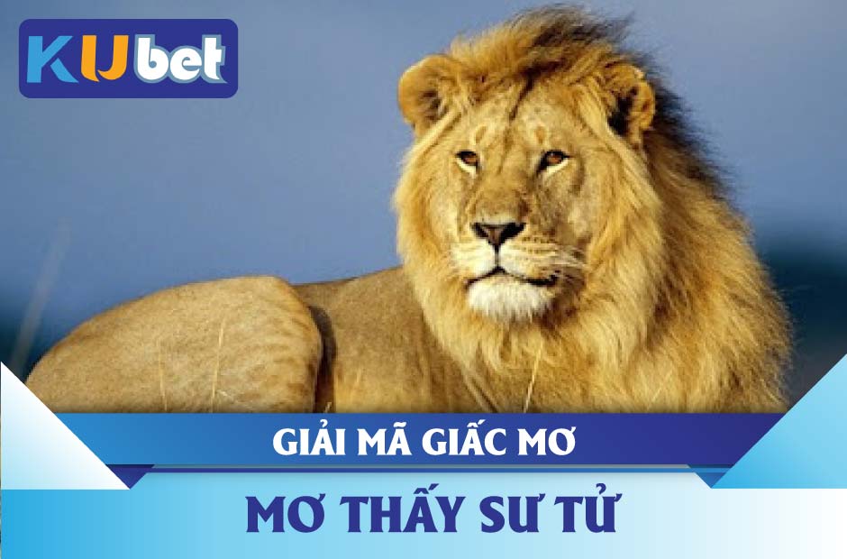 Điềm báo về giấc mơ thấy sư tử kubet